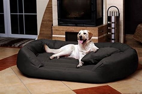 Comment choisir un couchage adapté pour un chien destructeur ?