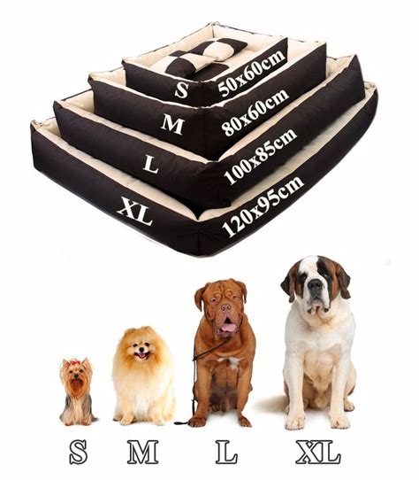 Conseils pratiques pour choisir la taille idéale d'un panier pour chien